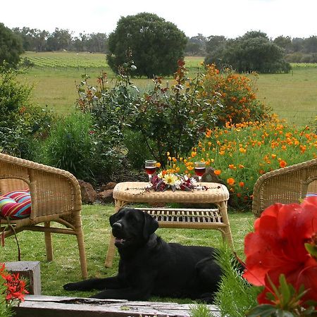 Silversprings Spa Retreat Pet Friendly Cottages And Glampings Metricup Eksteriør bilde