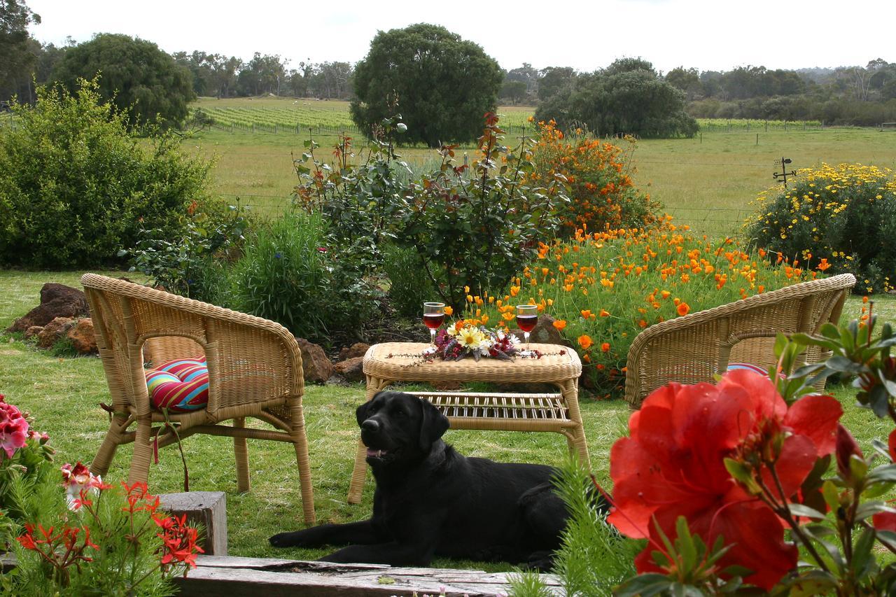 Silversprings Spa Retreat Pet Friendly Cottages And Glampings Metricup Eksteriør bilde