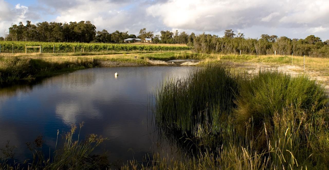 Silversprings Spa Retreat Pet Friendly Cottages And Glampings Metricup Eksteriør bilde
